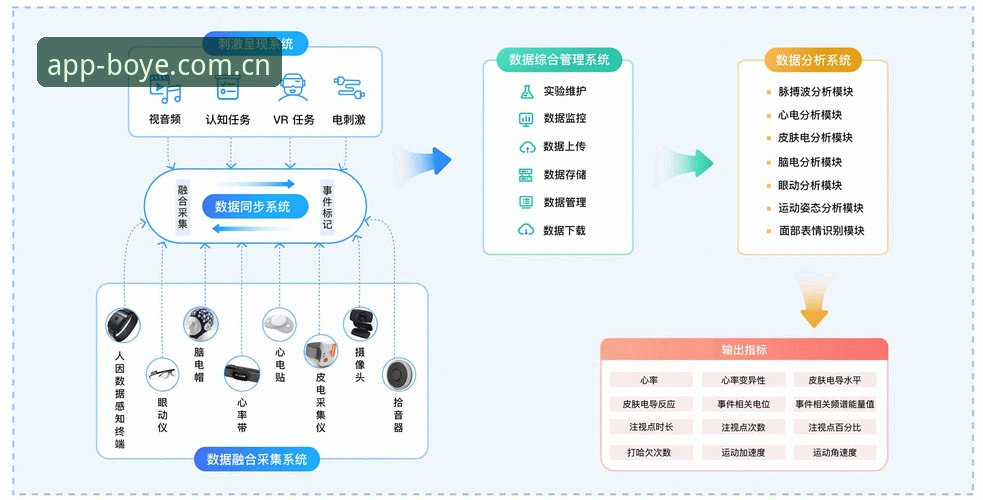 博业体育平台使用教程：从安装到数据分析的完整操作指南